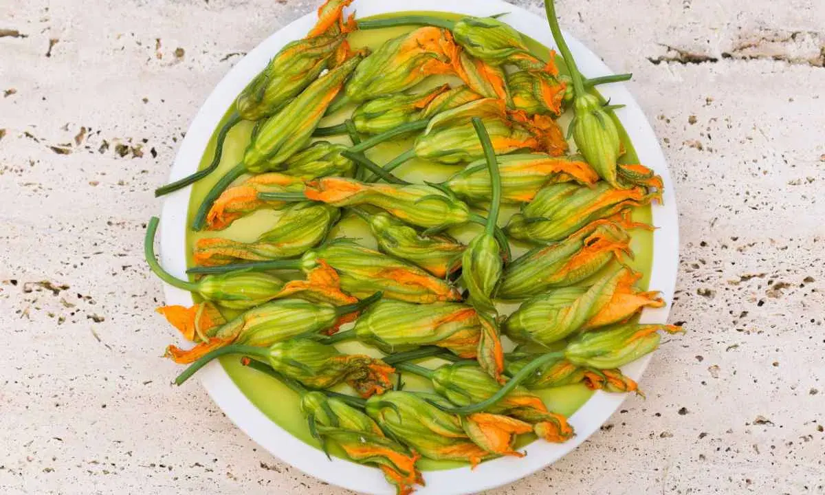 Fiori di zucca freschi, pronti per essere cucinati in padella, su un piatto bianco.